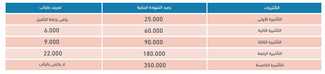 شروط القدرة المالية لذوي الاحتياجات الخاصة